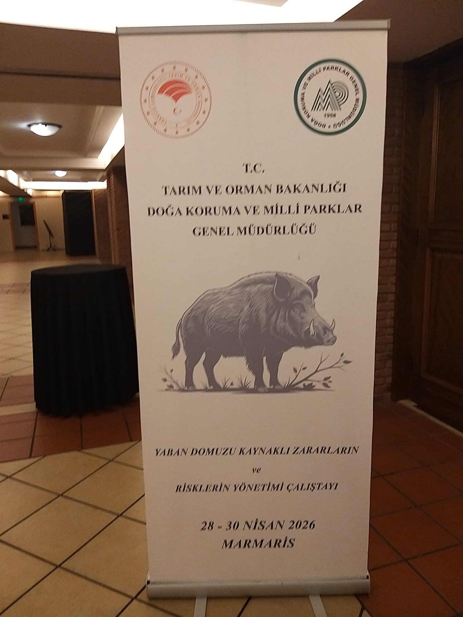 Marmaris Domuz Çalıştayı 2026