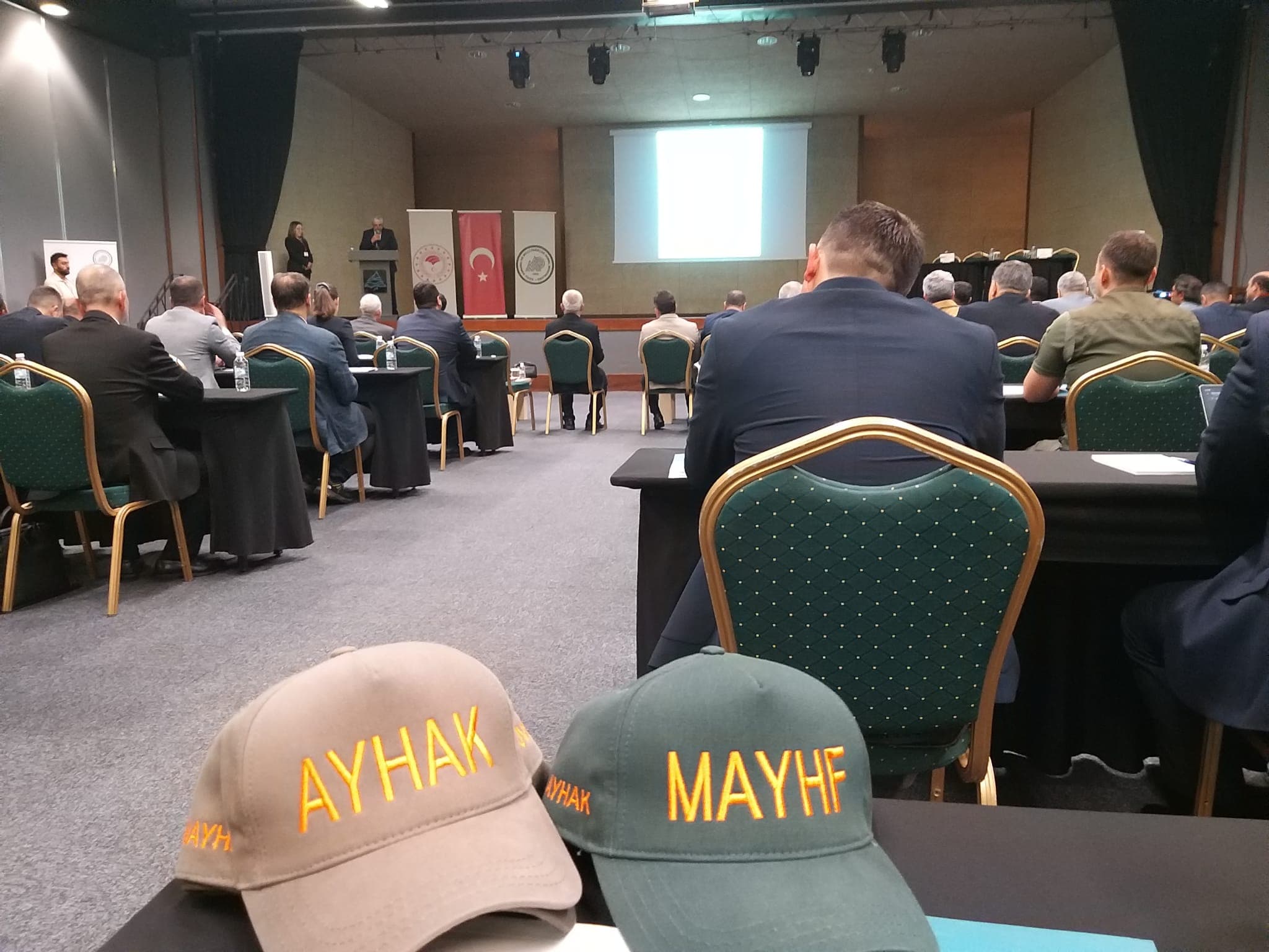Marmaris Domuz Çalıştayı 2026